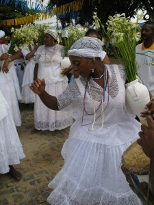 BahiaPhoto by Mark Levitan