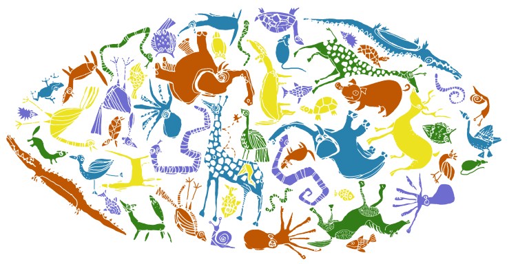 ARCAdeNOE - manifesto Candiani COLOR